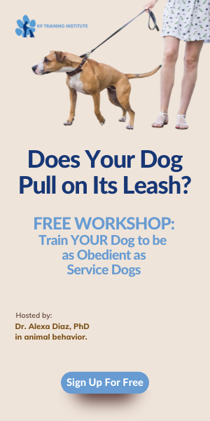 does your dog pull on its leash?